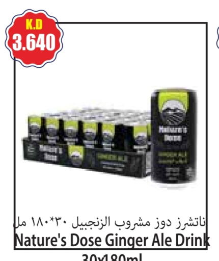 Ginger available at 4 SaveMart in Kuwait - Kuwait City