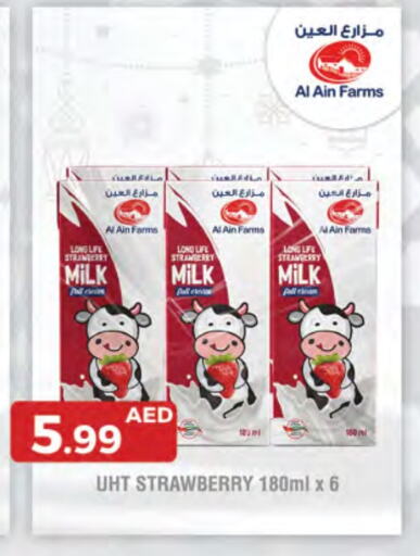 AL AIN Long Life / UHT Milk available at Emirates Co-Operative Society in UAE - Dubai