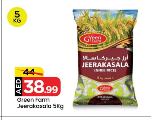 Jeerakasala Rice available at Mark & Save Value Retail in UAE - Dubai