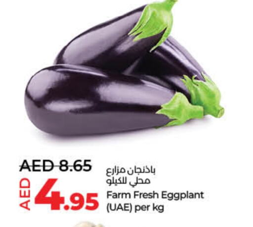 Eggplant available at لولو هايبرماركت in الإمارات العربية المتحدة , الامارات - أم القيوين‎