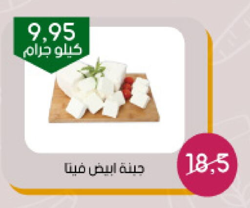 available at Arab Wissam Markets in KSA, Saudi Arabia, Saudi - Riyadh