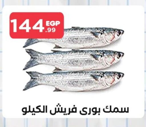 available at مارت فيل in Egypt - القاهرة