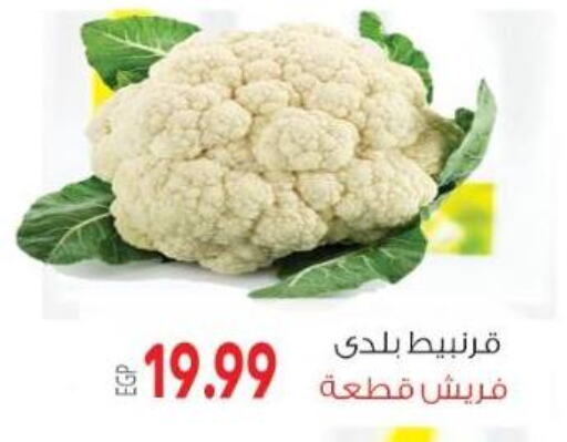 Cauliflower available at El.Husseini supermarket  in Egypt - Cairo