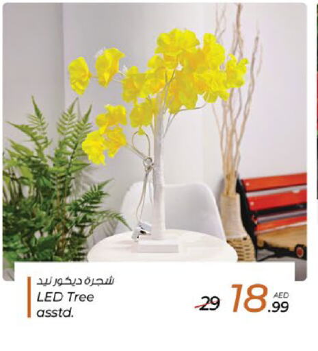 available at Nesto Hypermarket in UAE - Fujairah