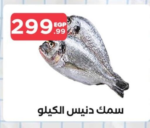 available at مارت فيل in Egypt - القاهرة