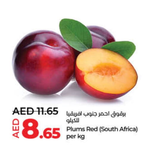 Plums from South Africa available at Lulu Hypermarket in UAE - Dubai