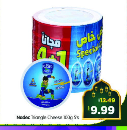 نادك جبنة مثلثات available at هايبر ماركت المدينة in الإمارات العربية المتحدة , الامارات - أبو ظبي