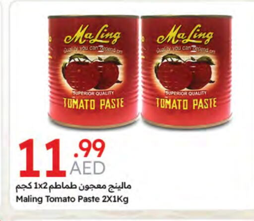 Tomato Paste available at Emirates Co-Operative Society in UAE - Dubai