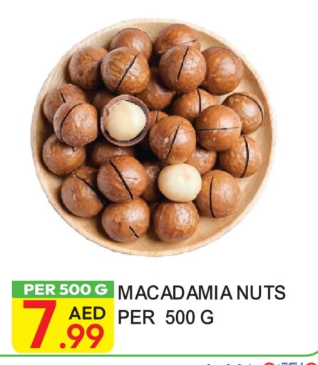 available at دريم لاند in الإمارات العربية المتحدة , الامارات - دبي