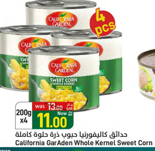 كاليفورنيا جاردن available at ســبــار in قطر - أم صلال