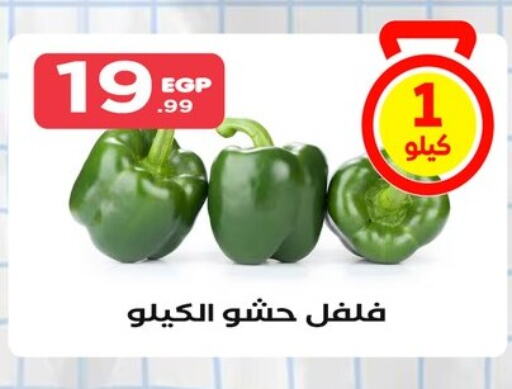 Chilli / Capsicum available at El Mahlawy Stores in Egypt - Cairo