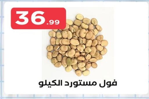 available at مارت فيل in Egypt - القاهرة