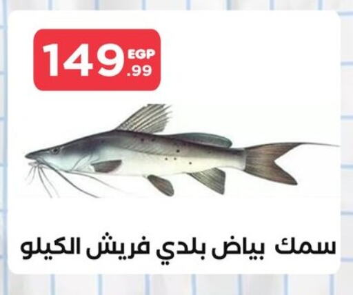 available at مارت فيل in Egypt - القاهرة