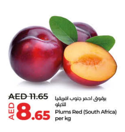 Plums from South Africa available at Lulu Hypermarket in UAE - Dubai