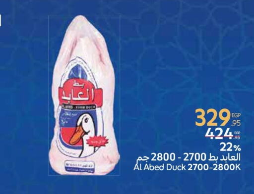 available at كارفور in Egypt - القاهرة