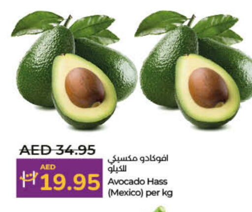 Avacado from Mexico available at Lulu Hypermarket in UAE - Dubai