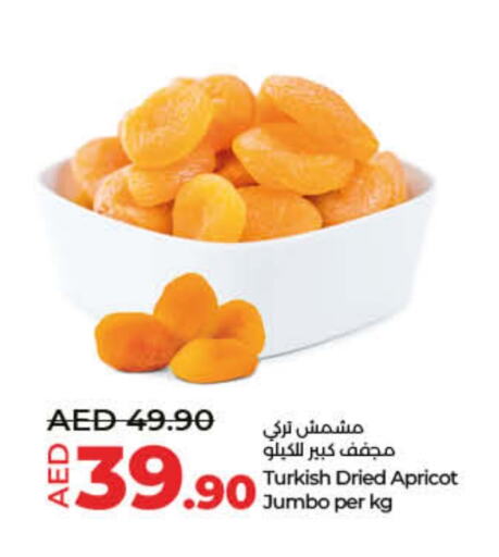 Apricot available at لولو هايبرماركت in الإمارات العربية المتحدة , الامارات - ٱلْفُجَيْرَة‎