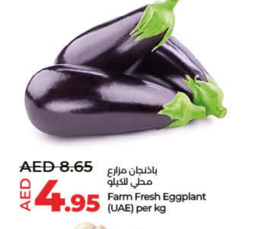 Eggplant available at لولو هايبرماركت in الإمارات العربية المتحدة , الامارات - أم القيوين‎