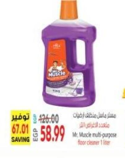 MR. MUSCLE General Cleaner available at El.Husseini supermarket  in Egypt - Cairo