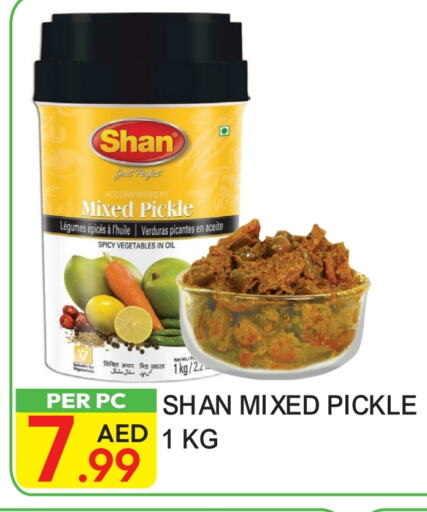 SHAN Pickle available at Dream Land in UAE - Dubai