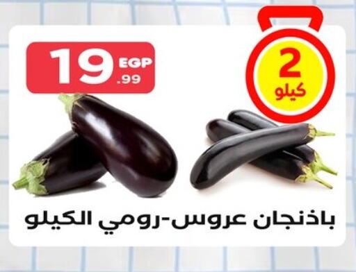 available at المحلاوي ستورز in Egypt - القاهرة