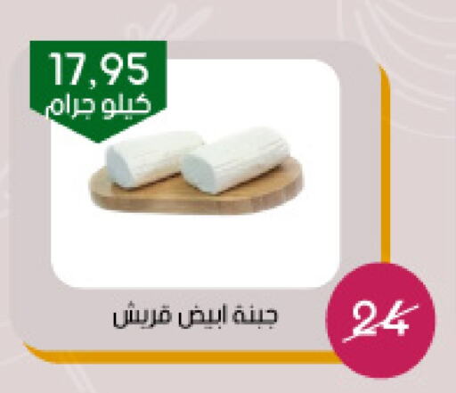 available at Arab Wissam Markets in KSA, Saudi Arabia, Saudi - Riyadh