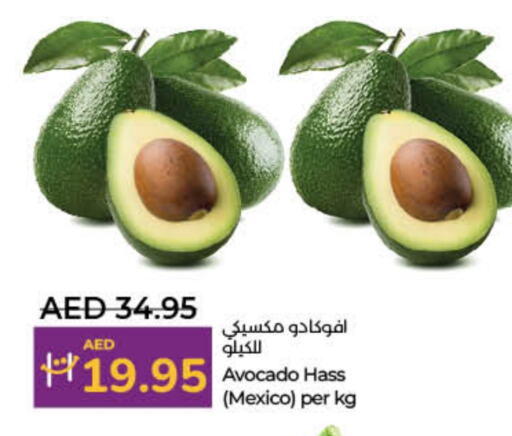 Avacado from Mexico available at Lulu Hypermarket in UAE - Dubai