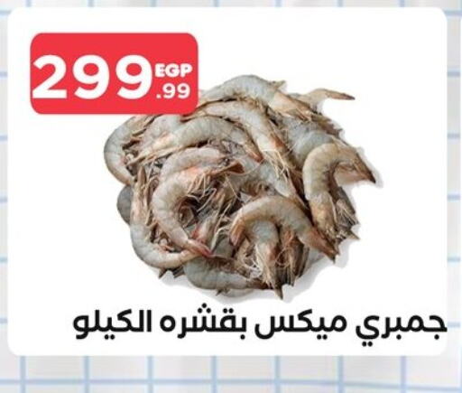 available at المحلاوي ستورز in Egypt - القاهرة