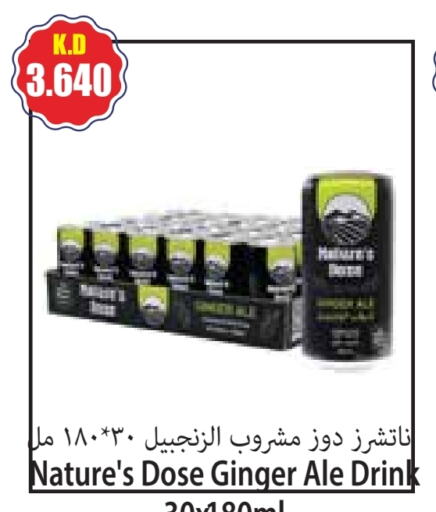 Ginger available at 4 SaveMart in Kuwait - Kuwait City