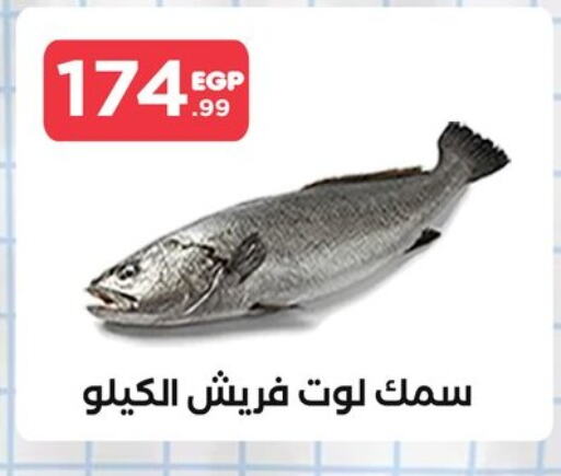 available at مارت فيل in Egypt - القاهرة