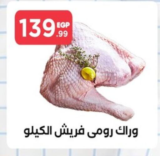 available at المحلاوي ستورز in Egypt - القاهرة