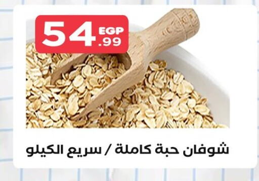 Oats available at El Mahlawy Stores in Egypt - Cairo