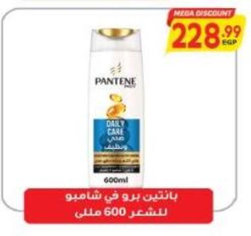 PANTENE Shampoo / Conditioner available at El.Husseini supermarket  in Egypt - Cairo