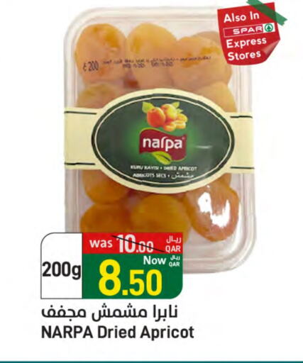 Apricot available at ســبــار in قطر - أم صلال