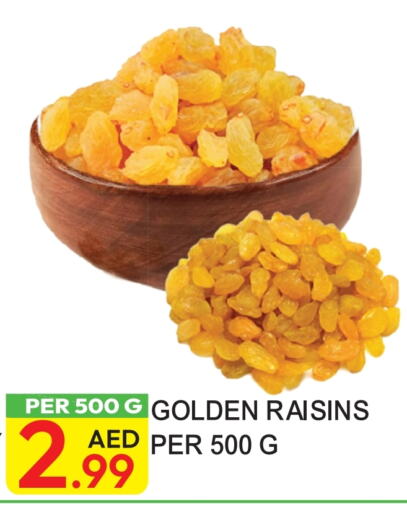 available at دريم لاند in الإمارات العربية المتحدة , الامارات - دبي