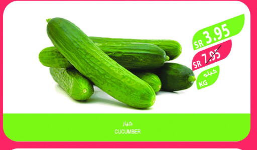 Cucumber available at Farm  in KSA, Saudi Arabia, Saudi - Jeddah