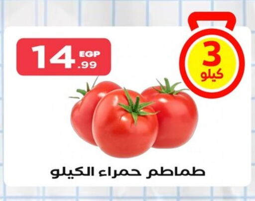 Tomato available at El Mahlawy Stores in Egypt - Cairo