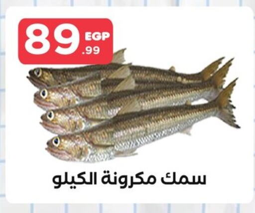 available at مارت فيل in Egypt - القاهرة