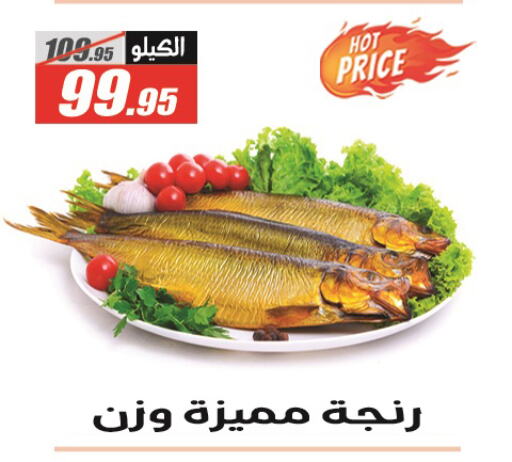 available at الفرجاني هايبر ماركت in Egypt - القاهرة