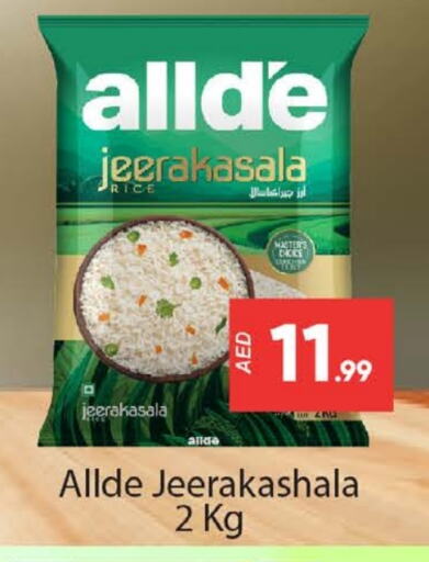 ALLDE Jeerakasala Rice available at Al Madina  in UAE - Dubai