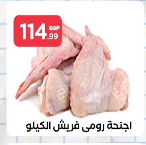 available at المحلاوي ستورز in Egypt - القاهرة