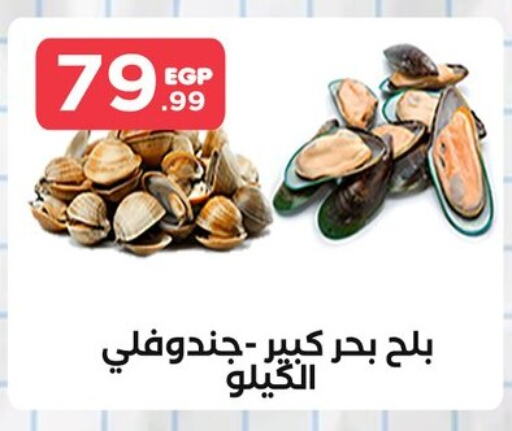 available at المحلاوي ستورز in Egypt - القاهرة