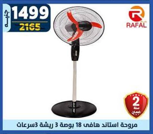 Fan available at Shaheen Center in Egypt - Cairo