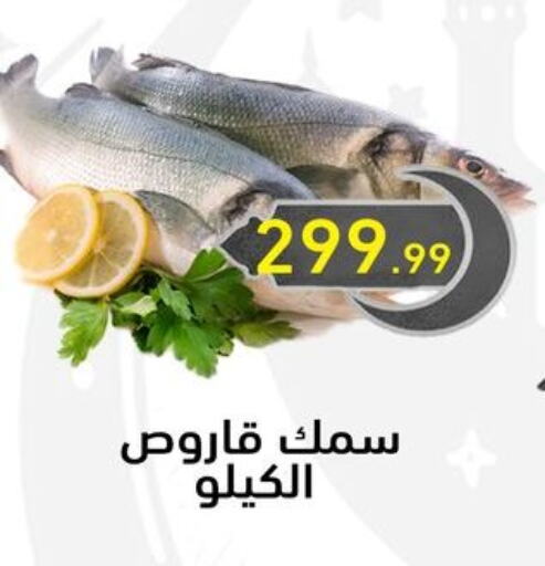 available at أولاد المحاوى in Egypt - القاهرة