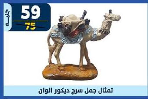 available at سنتر شاهين in Egypt - القاهرة