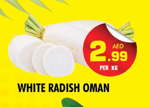 فجل from Oman available at نايت تو نايت in الإمارات العربية المتحدة , الامارات - الشارقة / عجمان