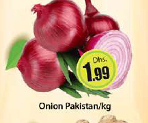 Onion from Pakistan available at Al Madina  in UAE - Dubai