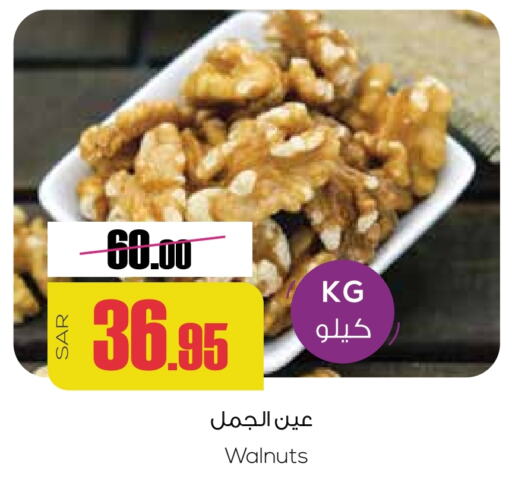 available at سبت in مملكة العربية السعودية, السعودية, سعودية - بريدة