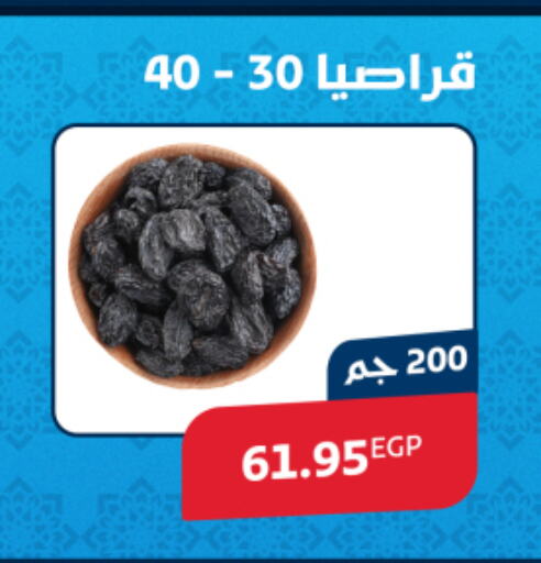 available at اكسبشن ماركت in Egypt - القاهرة