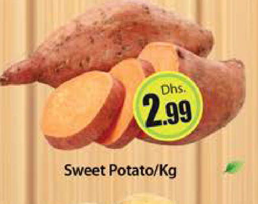 Sweet Potato available at Al Madina  in UAE - Dubai